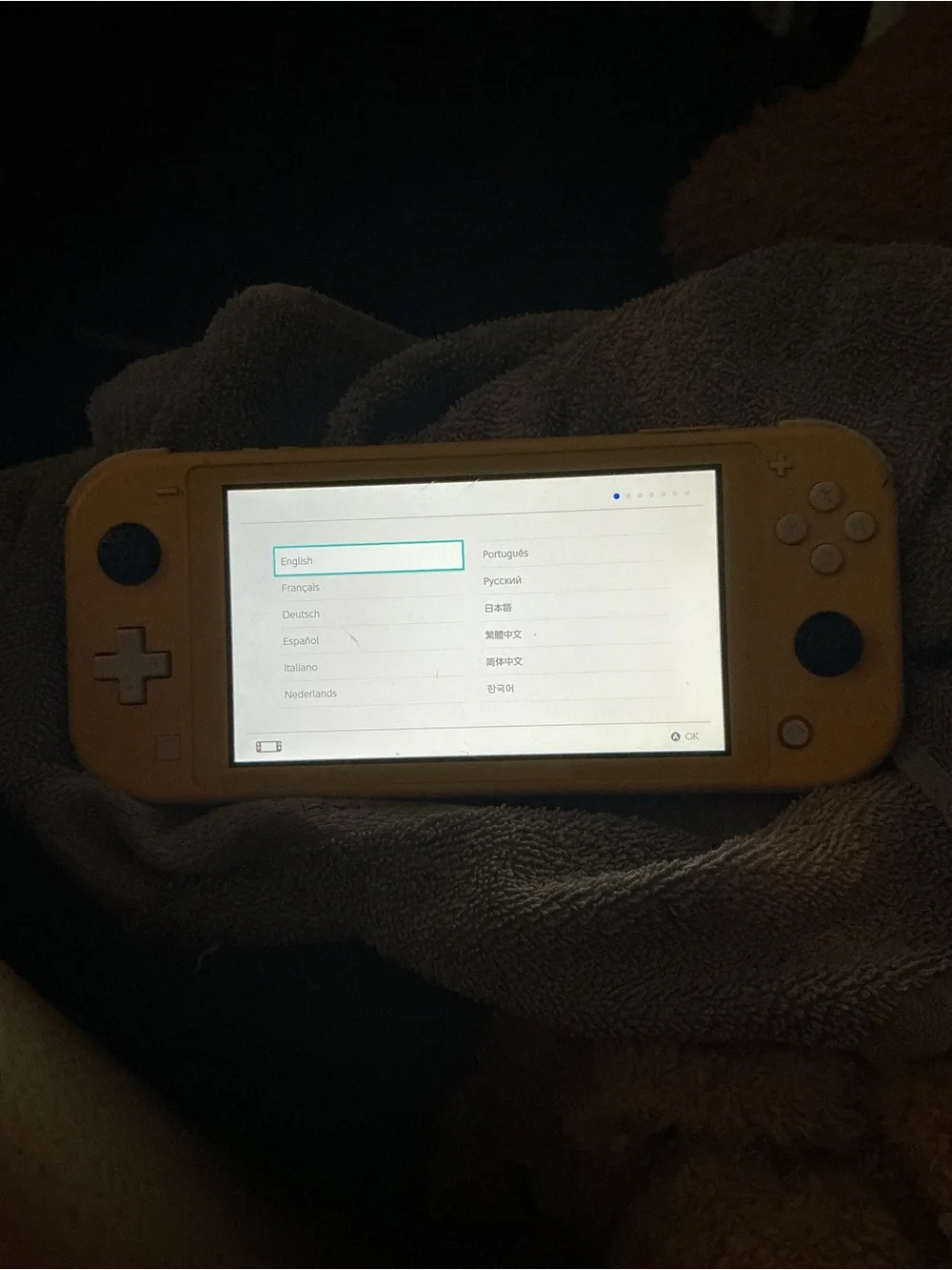 Nintendo portable switch
